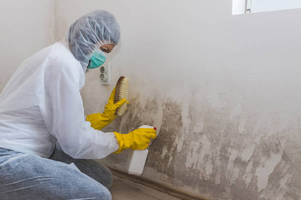 Best Crawl Space Mold Removal  in Lumberton, TX