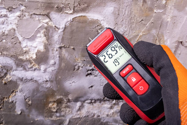 Best Home Mold Removal  in Lumberton, TX
